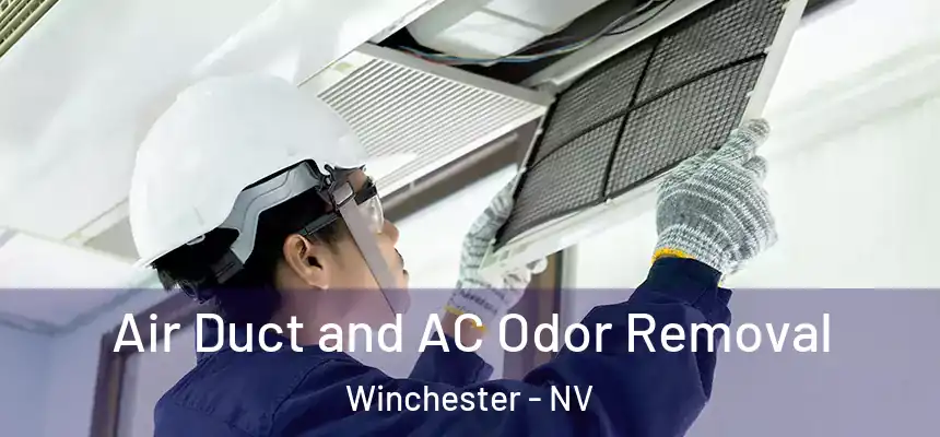  Air Duct and AC Odor Removal Winchester - NV