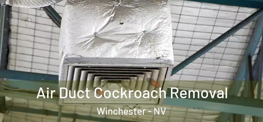  Air Duct Cockroach Removal Winchester - NV