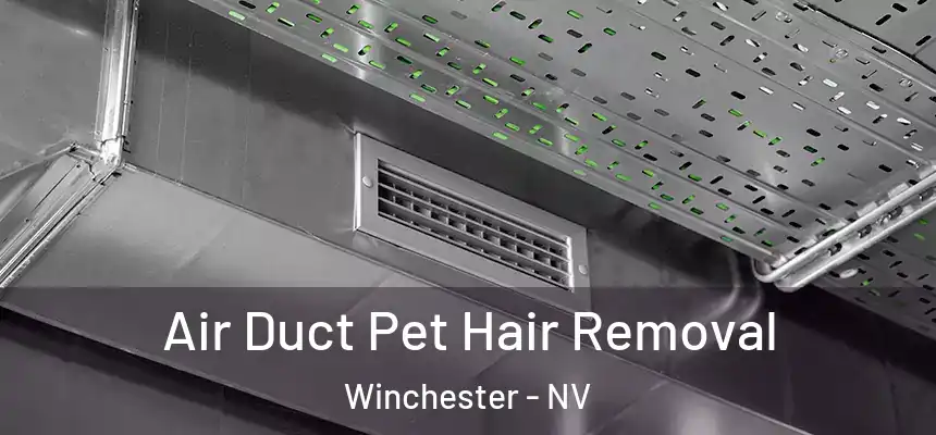  Air Duct Pet Hair Removal Winchester - NV