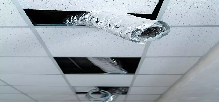 Our Air Duct Pet Hair Removal Services in Winchester, NV