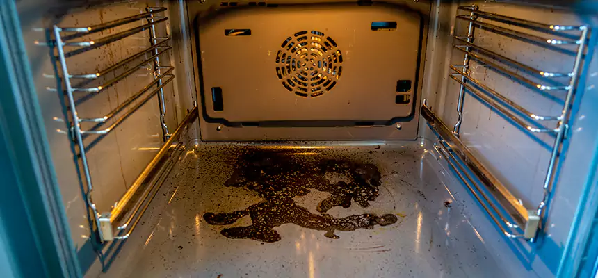 Our Dryer Vent Mold Cleaning Services in Winchester, NV