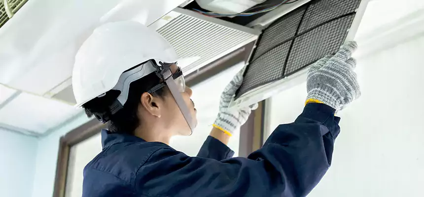 Our Mold & Mildew Removal from Air Ducts Services in Winchester, NV