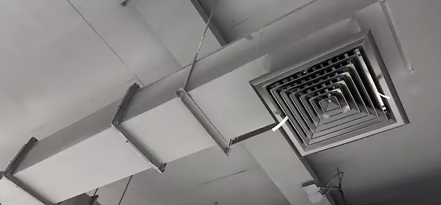 Our Rodent Droppings In Vents Services in Winchester, NV