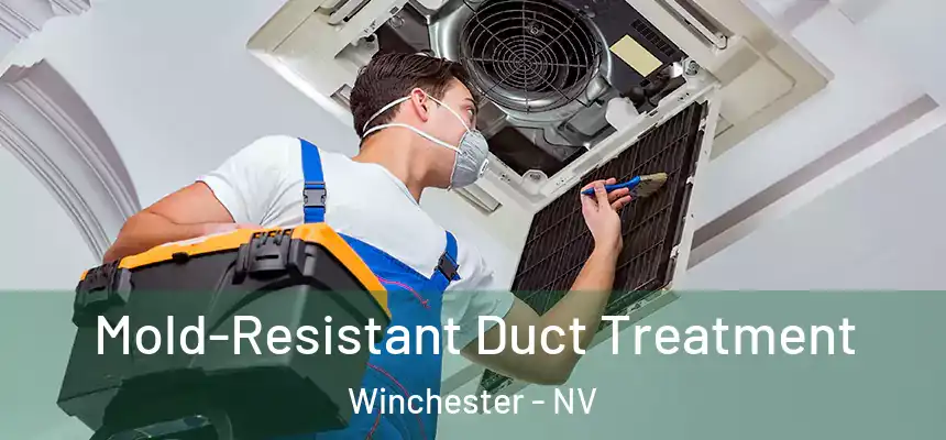  Mold-Resistant Duct Treatment Winchester - NV