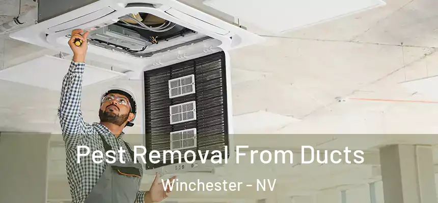  Pest Removal From Ducts Winchester - NV