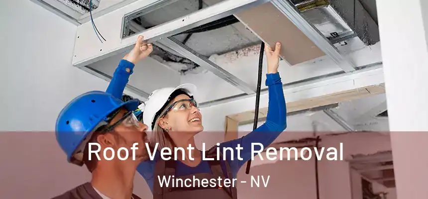  Roof Vent Lint Removal Winchester - NV