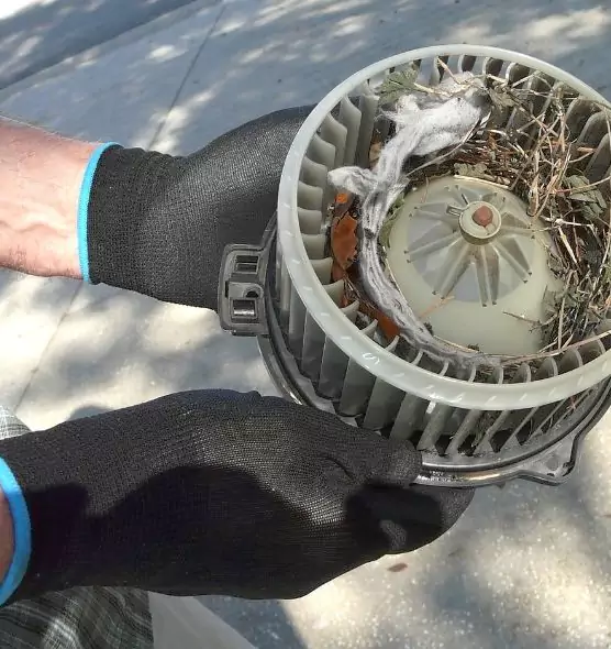 About Air Duct Mice Removal in Winchester, NV