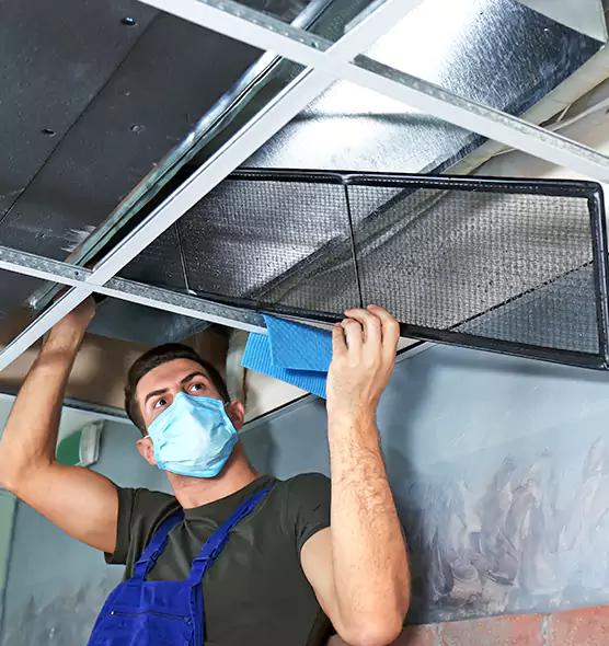 Professional Air Duct Pollen Cleaning in Winchester, NV