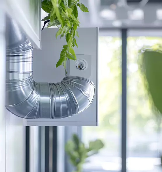 Professional Eco-Safe Dryer Vent Cleaning in Winchester, NV