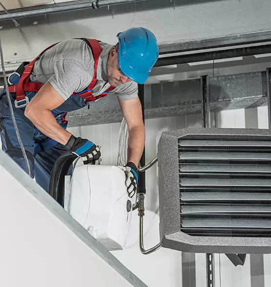 About HVAC Mold Remediation Service in Winchester, NV