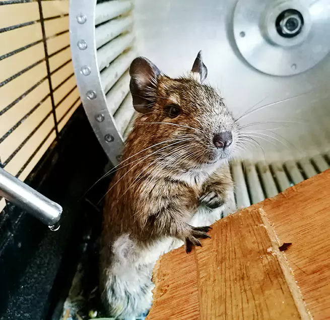 Why Homeowners & Businesses Trust Us Winchester, NV