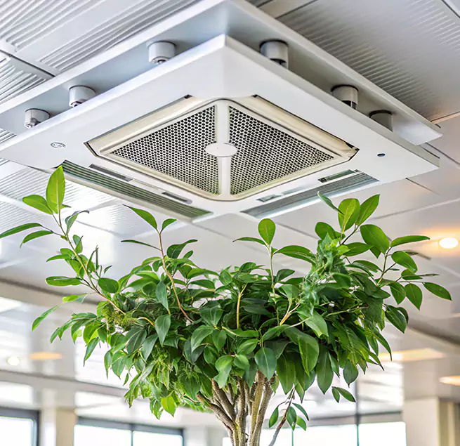 Why Homeowners & Businesses Trust Us in Winchester, NV?