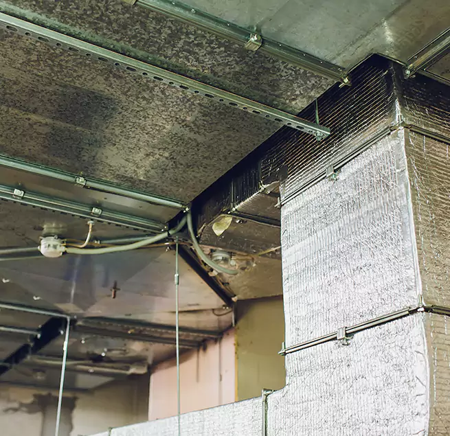 Why Homeowners & Businesses Trust Us in Winchester, NV?